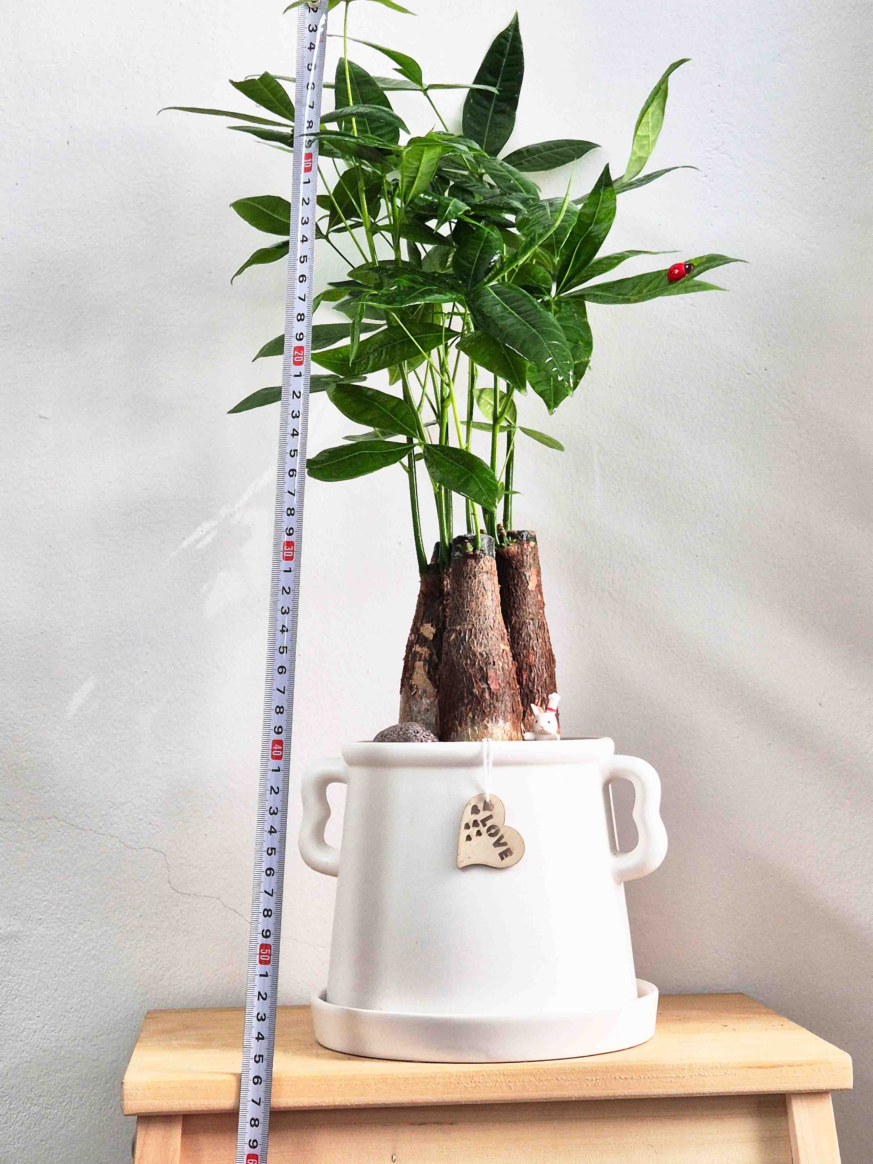 사이즈 차트 가이드 이미지